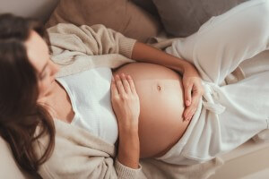 gravid